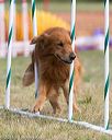 20150614-cckc-0083