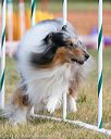 20150614-cckc-0103