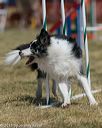 20150614-cckc-1815