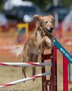 20150614-cckc-1741