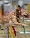 20150614-cckc-1744