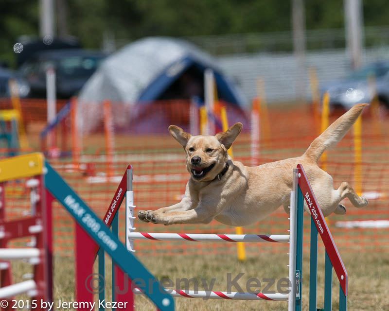 20150614-cckc-1729.jpg