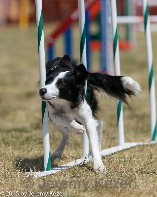 20150614-cckc-1750.jpg