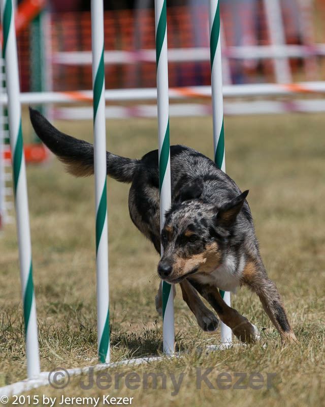 20150614-cckc-1754.jpg