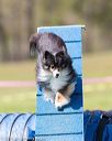 20160514-neat-0985