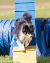 20160514-neat-0988
