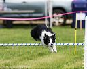 20160514-neat-1041