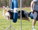 20160514-neat-1079