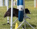 20160514-neat-0851