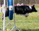 20160514-neat-0863