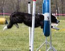 20160514-neat-0884