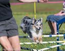 20160514-neat-0181