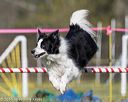 20160514-neat-0205