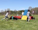 20160514-neatmc-0010