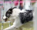 20160514-neat-0687