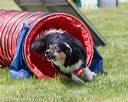 20160514-neat-0694