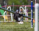 20160514-neat-0571