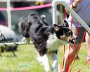 20160514-neat-0582