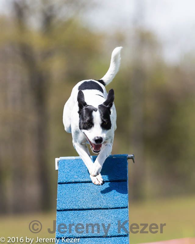 20160514-neat-0935.jpg