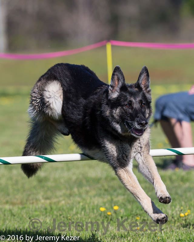 20160514-neat-0141.jpg