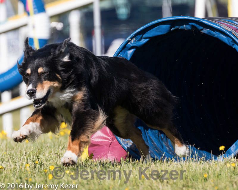 20160514-neat-0167.jpg
