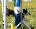 20160514-neat-0794