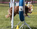 20160514-neat-0835
