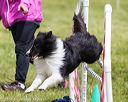 20160515-neat-1368