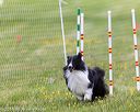 20160515-neat-0458