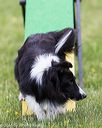 20160515-neat-0465