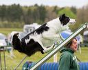 20160515-neat-0373