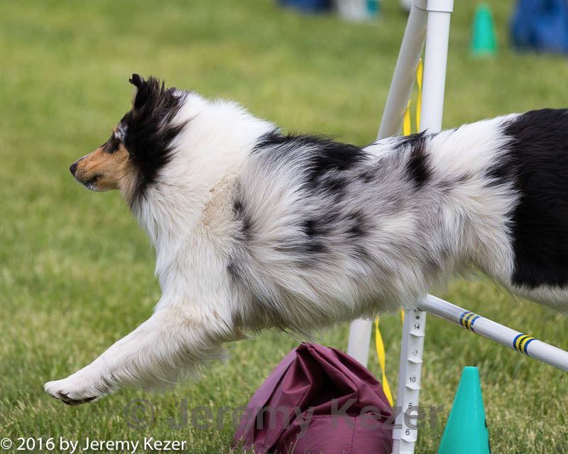 20160515-neat-1683.jpg