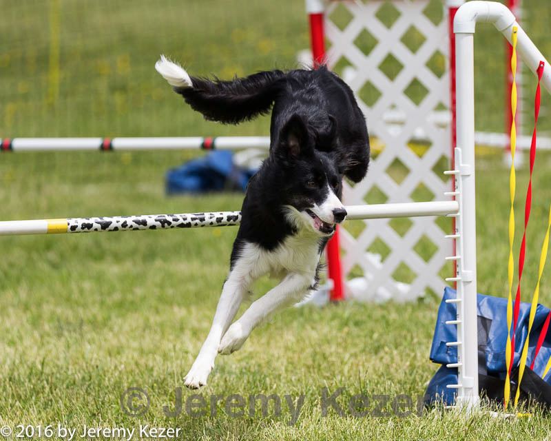 20160515-neat-1331.jpg