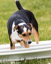 20160515-neat-1094