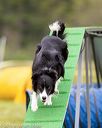 20160515-neat-1057