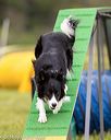 20160515-neat-1058