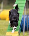 20160515-neat-1059