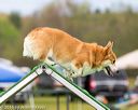 20160515-neat-0294