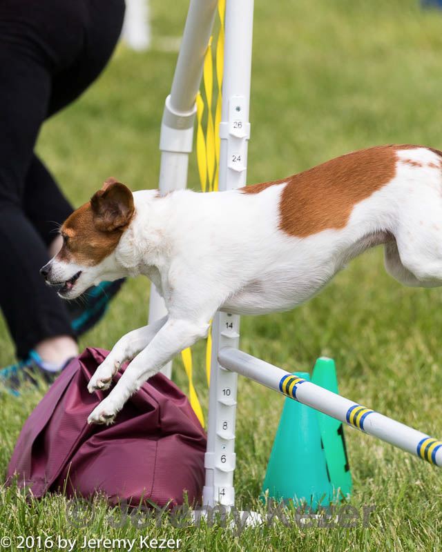 20160515-neat-1663.jpg