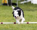 20160515-neat-1622