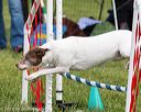 20160515-neat-1626