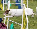 20160515-neat-1629