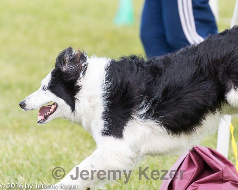 20160515-neat-1625.jpg