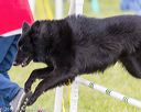 20160515-neat-1610