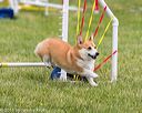 20160515-neat-1315