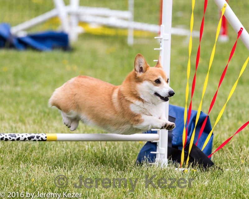 20160515-neat-1314.jpg