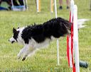 20160515-neat-1267