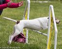 20160515-neat-1279