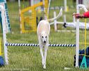 20160515-neat-1290