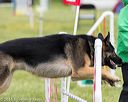 20160515-neat-1249